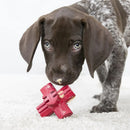 Brinquedo recheável para cachorro Kong Jump N Jack - New York Pets
