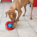 Brinquedo Recheável para cães Kong Gyro - New York Pets