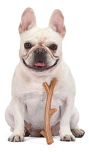 Brinquedo Roer Barkies Tree Branch Arm&hammer Cães Até 15kg - New York Pets