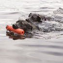 Brinquedo Training Dummy Para Cães - New York Pets