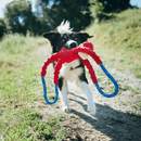 Cabo de Guerra de Pelucia modelo Macacos da Zippy Paws - New York Pets