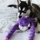 Cabo de Guerra de Pelucia modelo Macacos da Zippy Paws - New York Pets