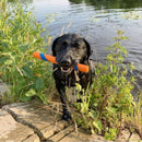 Chuckit Ultra Fetch Stick Bastao para Cachorro - New York Pets