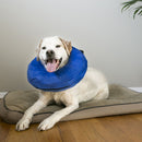 Colar Kong Inflável para cães e gatos - New York Pets