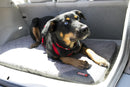 Colchonete KONG Travel Fold - up Mat para viagem - New York Pets