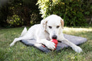 Colchonete KONG Travel Fold - up Mat para viagem - New York Pets