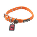 Coleira Petmate Dogzilla para Cachorro - New York Pets