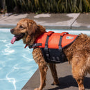 Colete Salva Vidas Cachorro Outward Hound Granby Splash - New York Pets