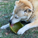 Comedouro Lento e Tapete de Lamber Garden of Eatin - Sodapup - New York Pets