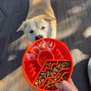 Comedouro Lento Great Outdoors ebowl Sodapup Para Cachorro - New York Pets