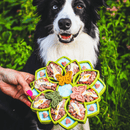 Comedouro Lento Mandala etray Sodapup para cachorro - New York Pets