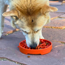 Comedouro Lento Sol e da Lua – Sodapup - New York Pets