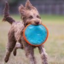 Disco Chuckit! Paraflight Grande Para Cachorro - New York Pets