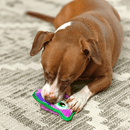 Durablez Tough Coruja - New York Pets