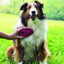 Escova Kong para Cachorro Zoomgroom Raspberry Rosa - New York Pets