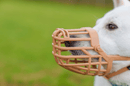 Focinheira Baskerville Classic Muzle Bege - Tamanhos 1 ao 10 - New York Pets