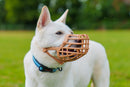 Focinheira Baskerville Classic Muzle Bege - Tamanhos 1 ao 10 - New York Pets
