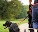 Guia de passeio para cachorro Halti Active lead - New York Pets