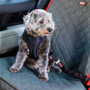 Guia Prendedor de Cinto de Segurança Kong Travel Deluxe Swivel Tether - New York Pets