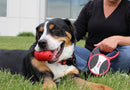Guia Retrátil Cães Kong Explore Leash Grande 7.5m - New York Pets