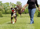 Guia Retrátil Cães Kong Explore Leash Grande 7.5m - New York Pets