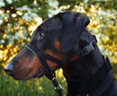 Halti Headcollar - Coleira de cabresto - New York Pets