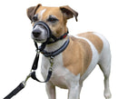 Halti Headcollar - Coleira de cabresto - New York Pets