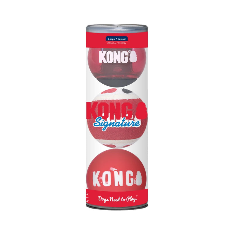 Kit 3 Bolas para Cachorro Kong Signature Grande - New York Pets