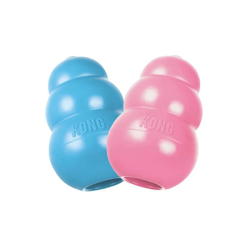 Kit Kong e Benebone para Filhote - New York Pets