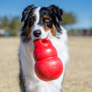 Kong Bounzer - New York Pets