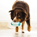 KONG Duets Dental Bola Futebol Americano – Brinquedo Mordedor Dental para Cães - New York Pets