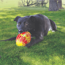 KONG Flexball Football – Brinquedo Interativo para Cães com Mordida Moderada - New York Pets