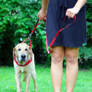 Kong Guia Traffic Leash 1 - New York Pets