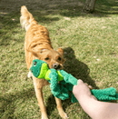 Kong Knots Frog – Pelúcia para Cachorro - New York Pets
