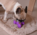Kong Quest Wishbone Recheável para Cães - New York Pets