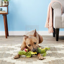 Kong Shakers Dragon Pelucia com apito para cachorro - New York Pets