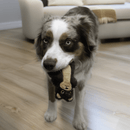 KONG Snuzzles Mini Lombra – Brinquedo Pequeno e Interativo para Cães - New York Pets