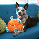 Kong Whipples Assorted Pelucia Extra Grande para Cachorro - New York Pets