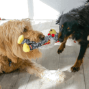 Kong Wishbone Pelucia com Cordas para Cachorro - New York Pets