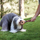 Kong Wubba Floppy Ears Grande para Cachorro com Apito - New York Pets