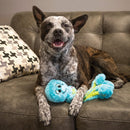 Kong Wubba Octopus Polvo para Cachorro - New York Pets