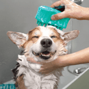 Kong ZoomGroom Bubbles Escova Dispenser de sabão - New York Pets
