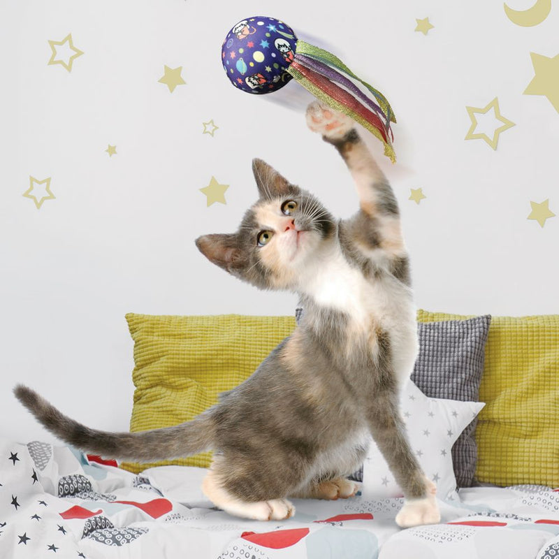 gato brincando com kong space ball