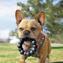 Mordedor kong extreme ring extra grande p/ cães - New York Pets