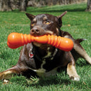 Mordedor Osso para Cachorro Kong Squeakstix Wigglerz - New York Pets