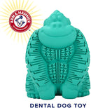 Mordedor para cachorro Gorila Recheavel Arm & Hammer - New York Pets