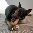 Osso de Nylon Kong ChewStix Tough Femur - New York Pets