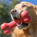 Osso Recheavel Para Cachorro KONG Goodie Bone Grande - New York Pets