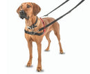 Peitoral anti - puxão frontal Halti Harnes para cachorro - New York Pets