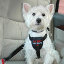 Peitoral Clix Carsafe Cinto de segurança para Carro - New York Pets